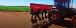 CULTIVADORES